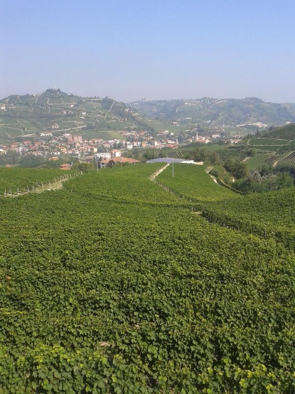 Agriturismo Ai Piacentini Santo Stefano Belbo Exteriér fotografie