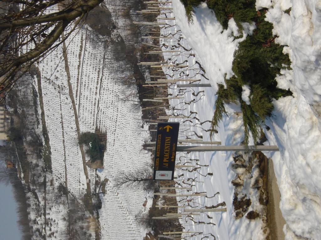 Agriturismo Ai Piacentini Santo Stefano Belbo Exteriér fotografie