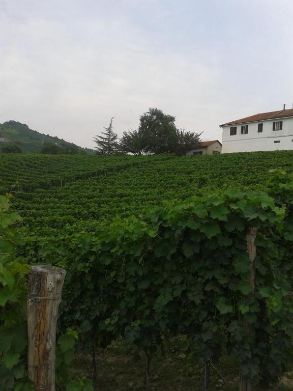 Agriturismo Ai Piacentini Santo Stefano Belbo Exteriér fotografie