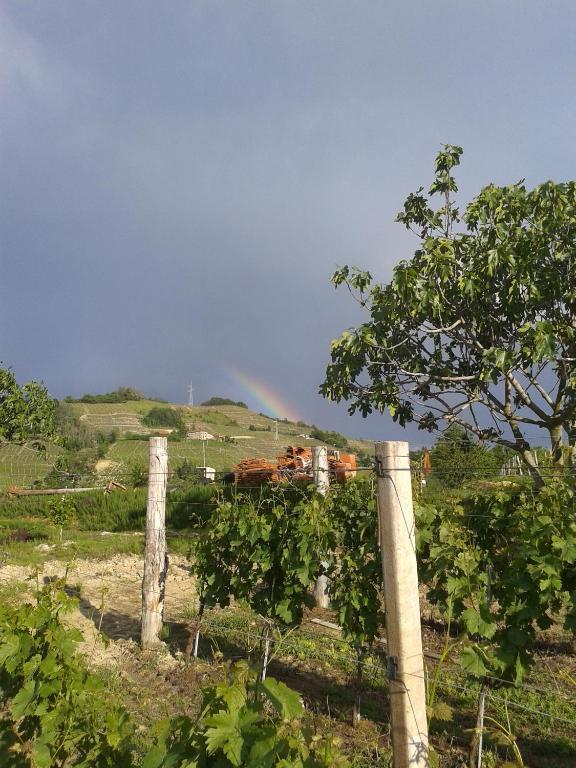 Agriturismo Ai Piacentini Santo Stefano Belbo Exteriér fotografie